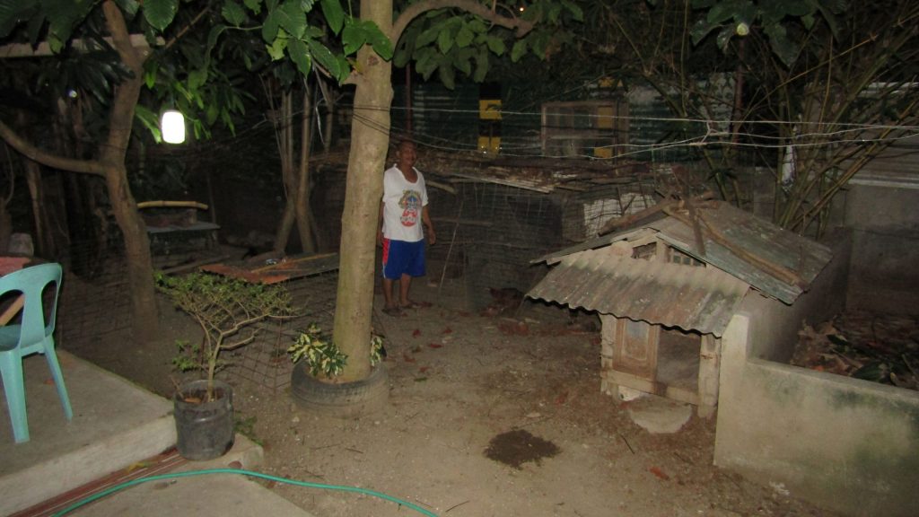 Everyday just before dawn, Arthur will feed his flock: chickens, ducks, pigs, geese, quails and dogs.
