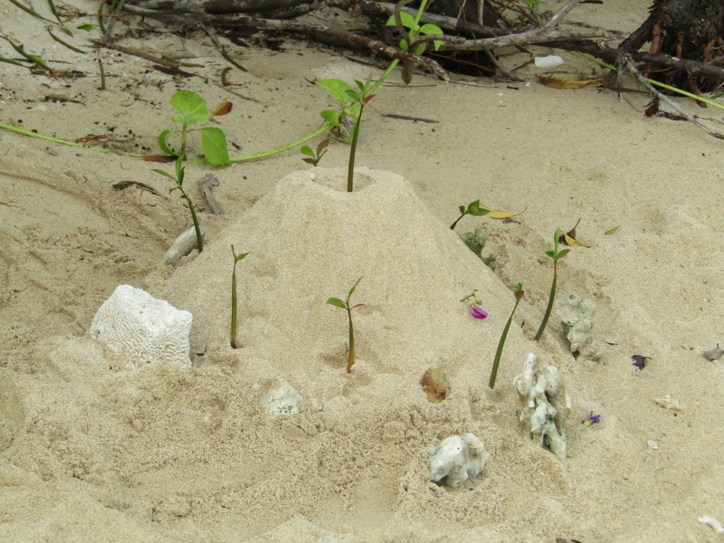 Our guide playfully made this 'castle in the sand' while we're at the other side of the river.