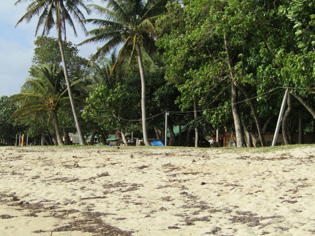 Lush vegetations are all over the island.