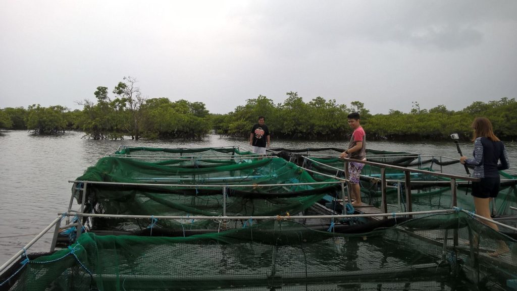 The expanse where fresh and sea water meet (locals call it the "ilog").""