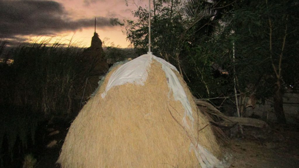 A mound of hay stands mute witness to the beautiful sunrise in Santo Domingo, Nueva Ecija. The mound of hay at sunrise