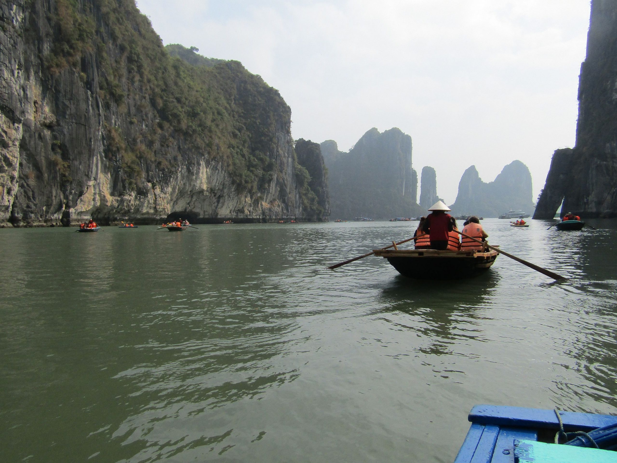 Limestone formations seem to float in a sea of green.