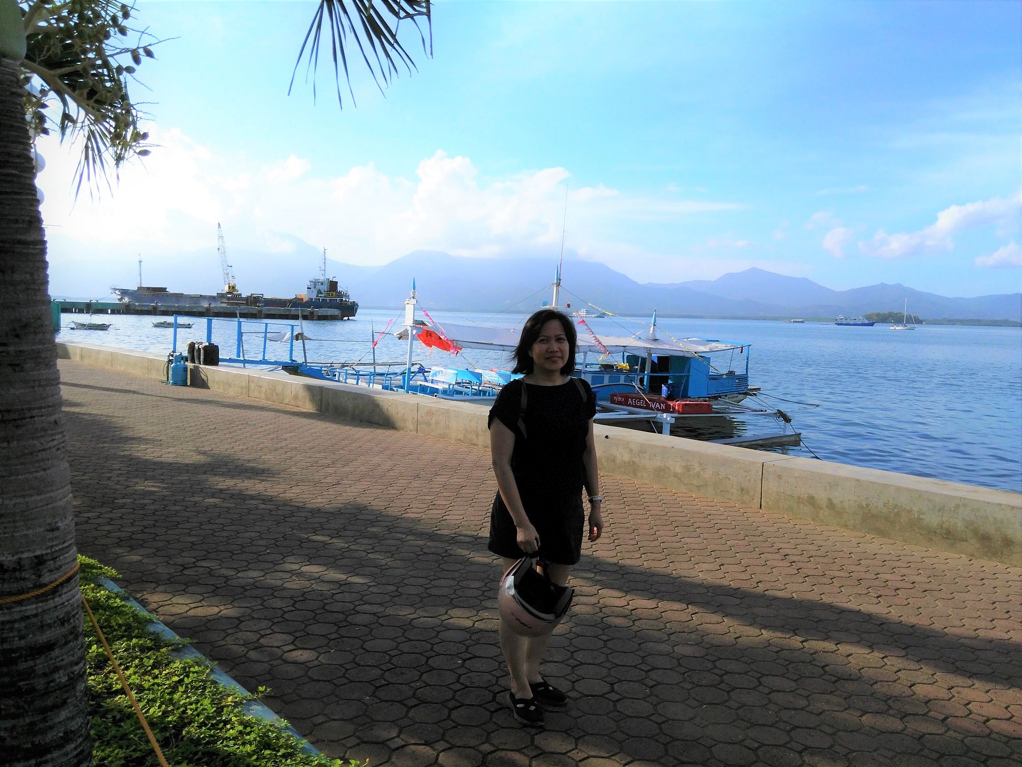 Some of the boats along the '"Baywalk" in Puerto Princesa offer ferry rides to nearby islands.