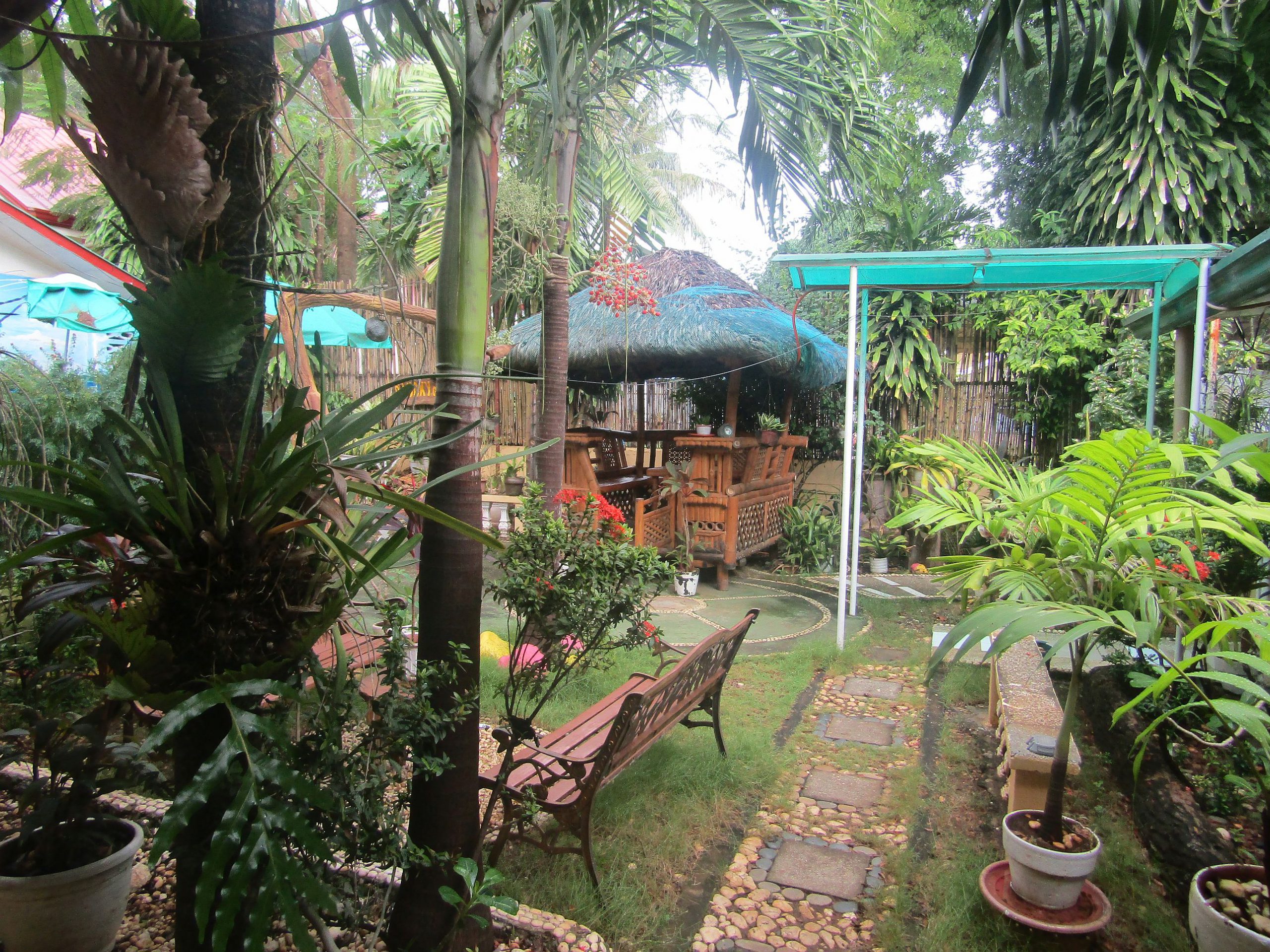 This garden is just across our US$ 15 per day room in Puerto Princesa, Palawan.