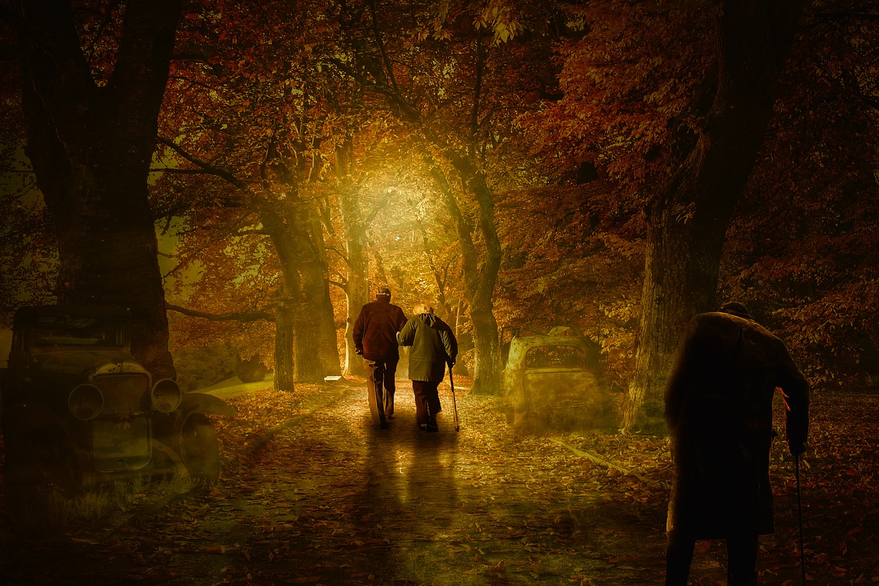 Do we have control of our destinies? Human Light Man Secret Adult - lassaffa / Pixabay